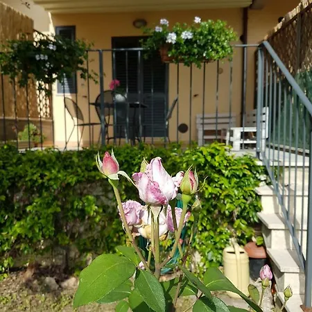 Apartment Il Prunus Serre Di Rapolano