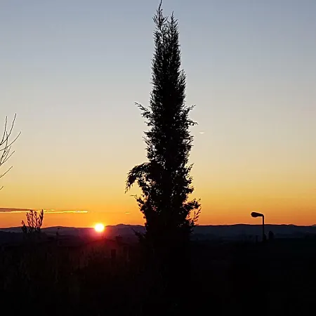 Il Prunus Serre Di Rapolano